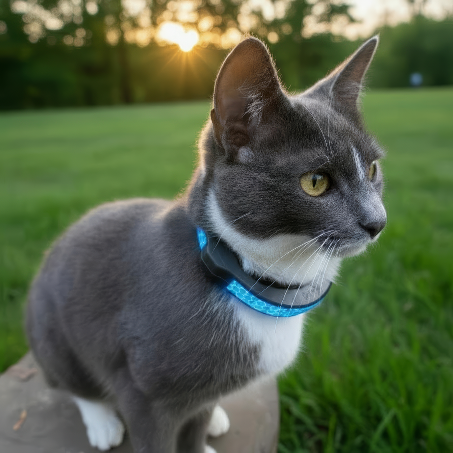 Reflective Tape for petTracer Collar x 2
