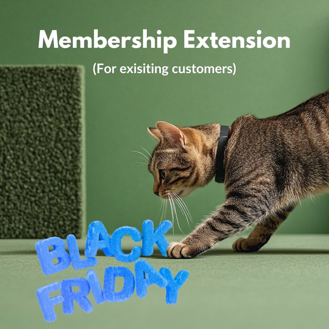 Membership Extension – Black Friday Bonus