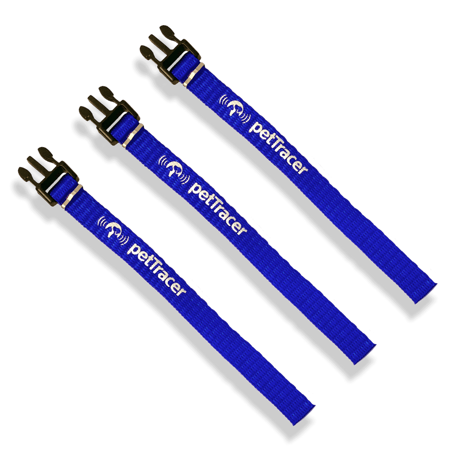 3 x Blue Adjustment Bands