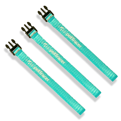 Safety Release Bands