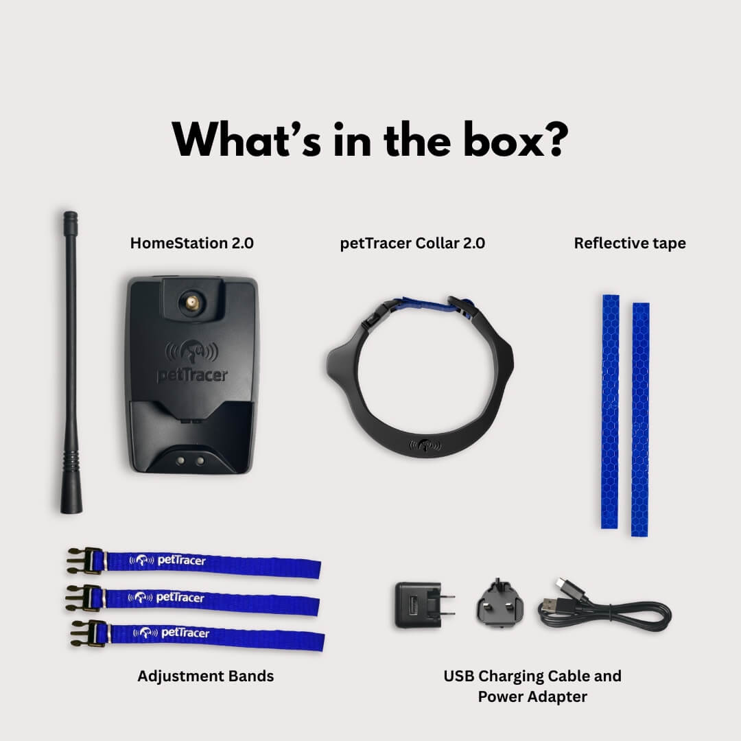 What's in the box